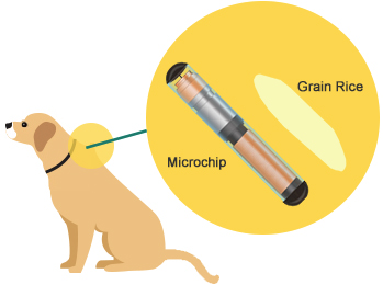 how much will it cost to have my dog microchipped