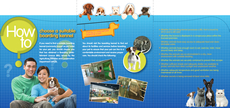 Leaflet "How to choose a suitable boarding kennel"