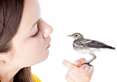 A bird owner talking to her bird