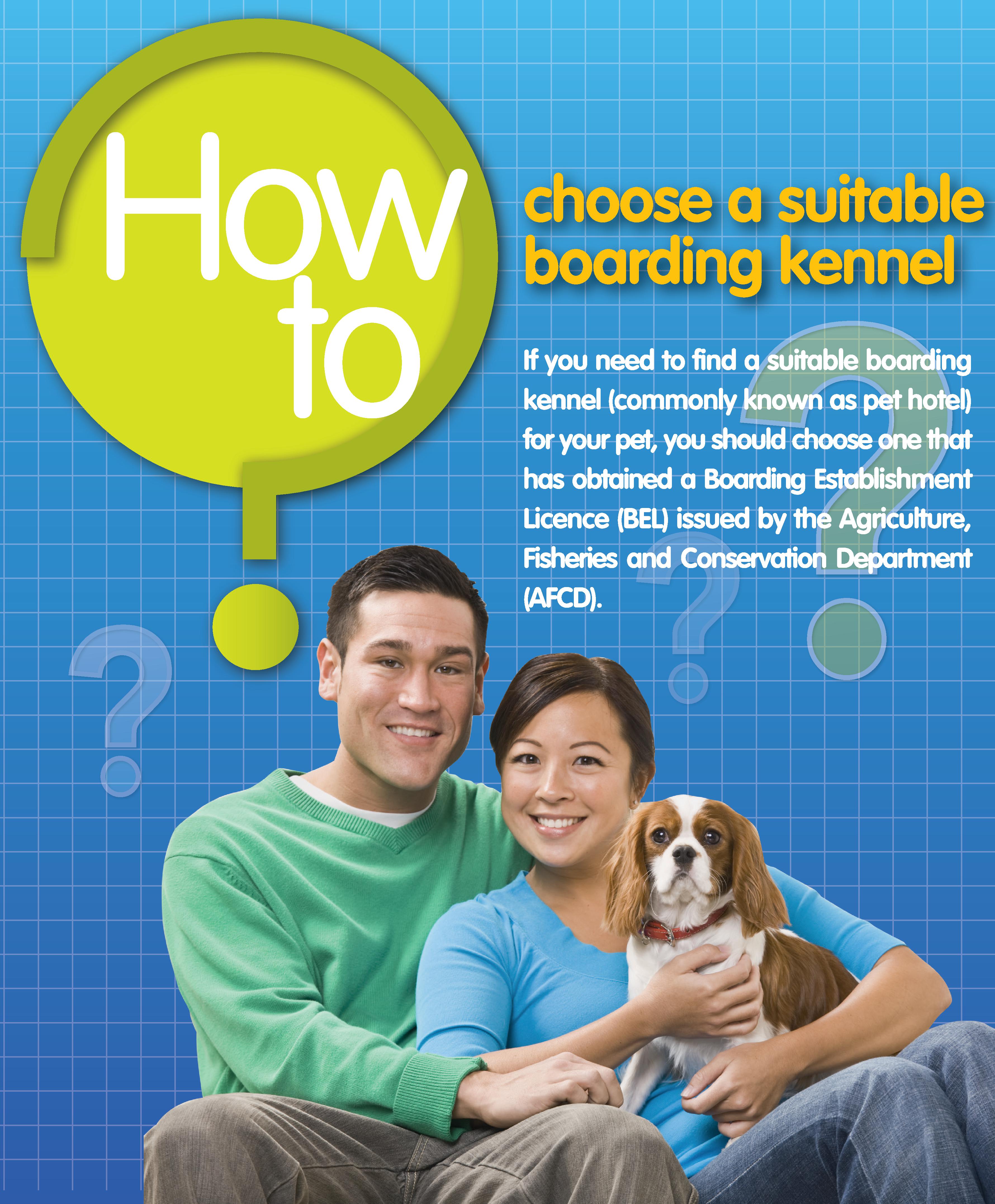 Leaflet 'How to choose a suitable boarding kennel'