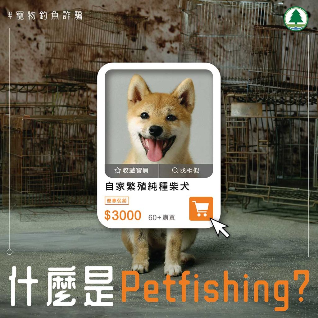 警惕「Petfishing」