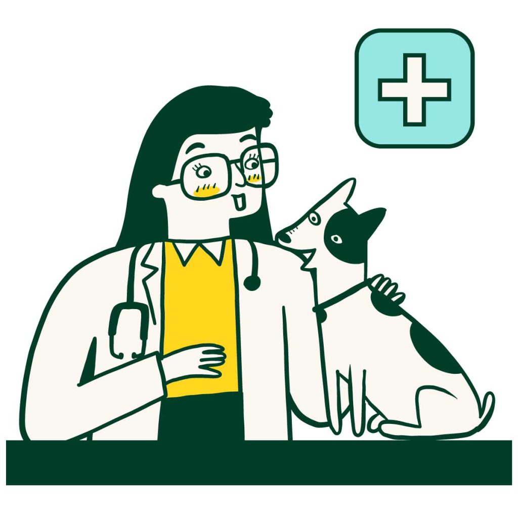 Be a smart owner: health check is essential when buying cats and dogs!