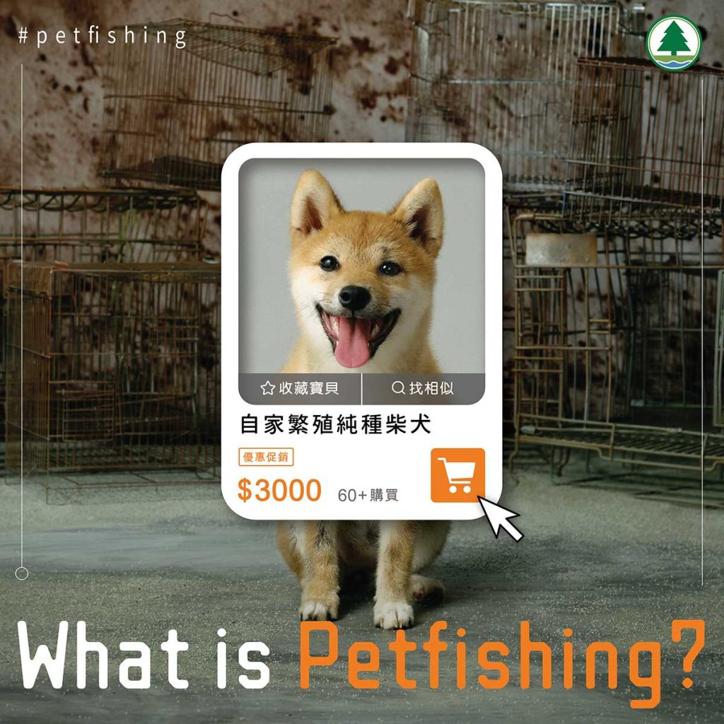 Beware of Petfishing