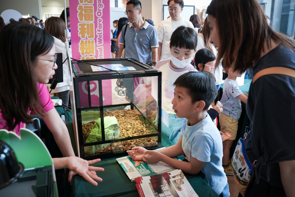 香港两栖及爬虫协会代表向市民介绍爬虫类小动物的习性，让市民增加对该类动物的认识。