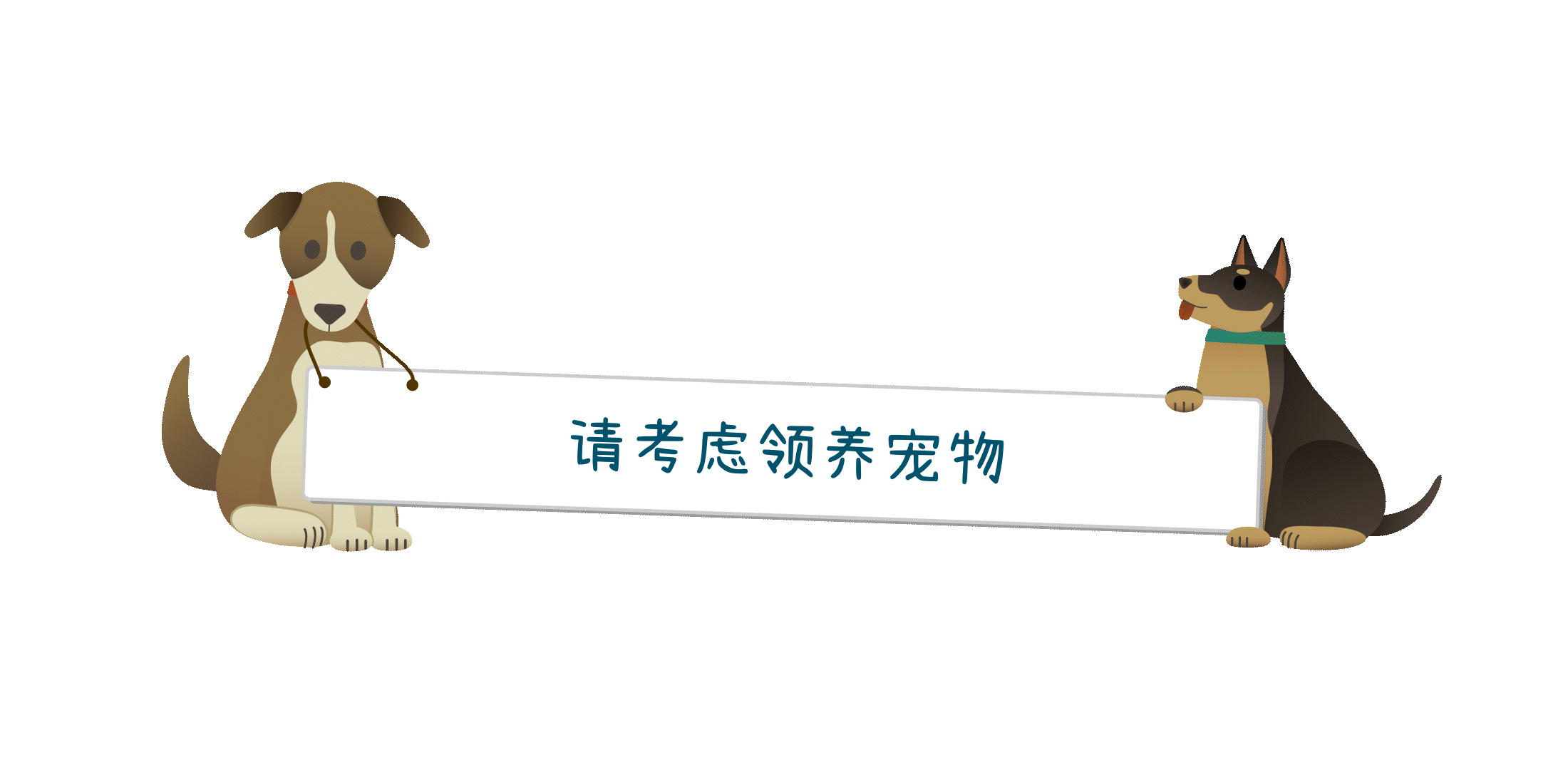 请考虑领养宠物。你可以拯救一条宝贵的生命。